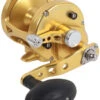 Avet MXL 5.8 G2 1 Speed Reel - Gold (No Glide Plate) -Fishing Equipment Store avet mxl 5 8 g2 rh gd ngp reel 42852.1651417679