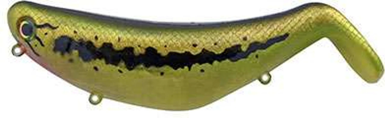 Bill Lewis StutterStep 5.0 - Baby Bass 3 Bill Lewis StutterStep 5.0 - Baby Bass