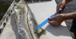 Cuda AquaTuff Fillet Knifes With Blade Cover 12 Cuda AquaTuff Fillet Knifes With Blade Cover -Fishing Equipment Store cuda aquatuff fillet knifes with blade cover 70075.1676038841