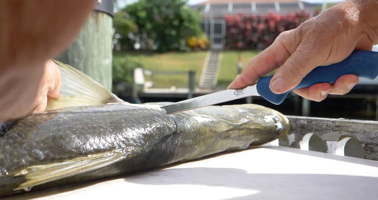 Cuda AquaTuff Fillet Knifes With Blade Cover 6 Cuda AquaTuff Fillet Knifes With Blade Cover - Image 4