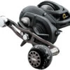 Daiwa Lexa Type-WN Baitcasting Reels -Fishing Equipment Store daiwa lexa wn baitcasting reels 14724.1651112560