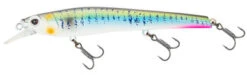 Nomad Design Shikari Suspending - 115 - Threadfin Shad