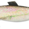 Panther Martin Vivif Style Spinner Minnow - #0 - Super Silver/Gold -Fishing Equipment Store panther martin 0mnw g vivif style spinner minnow 75221.1651172199.386.513