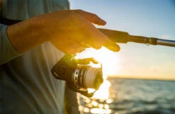 Penn Pursuit IV Spinning Reels -Fishing Equipment Store penn pursuit iv spinning reels 56136.1656656295