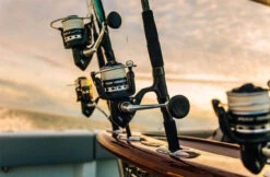 Penn Pursuit IV Spinning Reels -Fishing Equipment Store penn pursuit iv spinning reels 61321.1656656295