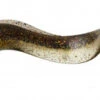 Savage Gear Real Eel Replacement Bodies - 8in - Black And Gold -Fishing Equipment Store savage gear 3331 real eel replacement bodies 31758.1651371472.386.513
