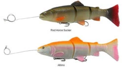 Fishing Equipment Store -Fishing Equipment Store savage gear pre rigged 3d line thru trout lures 89082.1650821678
