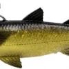 Savage Gear Pulse Tail Mullet LT Swimbaits 1 Savage Gear Pulse Tail Mullet LT Swimbaits -Fishing Equipment Store savage gear pulse tail mullet lt swimbaits 61352.1651281960