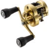 Shimano Calcutta Conquest MD Baitcasting Reels -Fishing Equipment Store shimano calcutta conquest md baitcasting reels 10126.1674255439