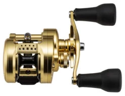 Shimano Calcutta Conquest MD Baitcasting Reels -Fishing Equipment Store shimano calcutta conquest md baitcasting reels 25316.1674255441