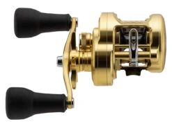 Shimano Calcutta Conquest MD Baitcasting Reels -Fishing Equipment Store shimano calcutta conquest md baitcasting reels 26236.1674255440
