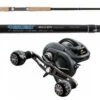 TackleDirect Silver Hook/Daiwa LX-WN300HSL Lexa WN Baitcasting Combo 2 TackleDirect Silver Hook/Daiwa LX-WN300HSL Lexa WN Baitcasting Combo -Fishing Equipment Store tackledirect tdssc701mht silver hook daiwa lx wn300hsl lexa type wn baitcasting combo 43032.1651370210