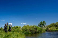 Thomas & Thomas Lotic Series Fly Rods -Fishing Equipment Store thomas thomas lotic series fly rods 25489.1651330459