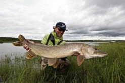 Thomas & Thomas Exocett Predator Fly Rod - 9 Ft. 4 In. - 45 Grain -Fishing Equipment Store thomas thomas predator 94450 4 exocett predator fly rod 49198.1651330451