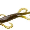 Zoom Lizard Bait - 6in - Green Pumpkin Red 2 Zoom Lizard Bait - 6in - Green Pumpkin Red -Fishing Equipment Store zoom lizard 6in bait zom 0040 72 77571.1651352895.386.513